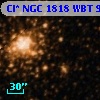 Cl* NGC 1818    WBT     951