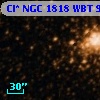 Cl* NGC 1818    WBT     955