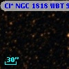 Cl* NGC 1818    WBT     969
