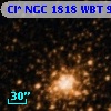 Cl* NGC 1818    WBT     974