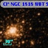 Cl* NGC 1818    WBT     981