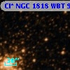 Cl* NGC 1818    WBT     987