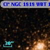 Cl* NGC 1818    WBT    1005