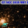 Cl* NGC 1818    WBT    1124