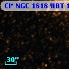 Cl* NGC 1818    WBT    1136