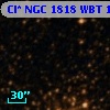 Cl* NGC 1818    WBT    1138