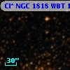 Cl* NGC 1818    WBT    1383