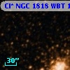 Cl* NGC 1818    WBT    1431