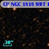 Cl* NGC 1818    WBT    1435