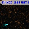Cl* NGC 1818    WBT    1445