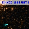 Cl* NGC 1818    WBT    1446