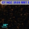Cl* NGC 1818    WBT    1456