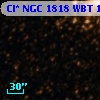 Cl* NGC 1818    WBT    1461