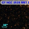 Cl* NGC 1818    WBT    1462
