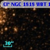 Cl* NGC 1818    WBT    1524