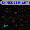 Cl* NGC 1818    WBT    1538