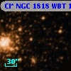Cl* NGC 1818    WBT    1557