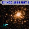 Cl* NGC 1818    WBT    1559