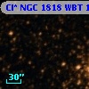Cl* NGC 1818    WBT    1629