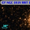 Cl* NGC 1818    WBT    1647