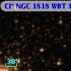Cl* NGC 1818    WBT    1661