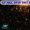 Cl* NGC 1818    WBT    1725