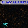 Cl* NGC 1818    WBT    1728