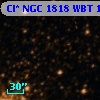 Cl* NGC 1818    WBT    1748
