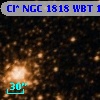 Cl* NGC 1818    WBT    1767