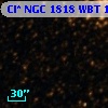 Cl* NGC 1818    WBT    1831