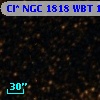 Cl* NGC 1818    WBT    1835