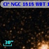 Cl* NGC 1818    WBT    1925