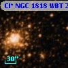 Cl* NGC 1818    WBT    2167