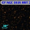 Cl* NGC 1818    WBT    2175