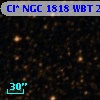 Cl* NGC 1818    WBT    2224