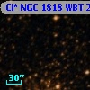 Cl* NGC 1818    WBT    2241
