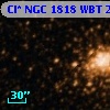 Cl* NGC 1818    WBT    2261