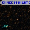 Cl* NGC 1818    WBT    2302
