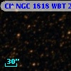 Cl* NGC 1818    WBT    2307