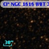 Cl* NGC 1818    WBT    2313