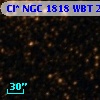 Cl* NGC 1818    WBT    2321