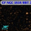 Cl* NGC 1818    WBT    2341