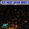 Cl* NGC 1818    WBT    2354