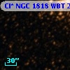 Cl* NGC 1818    WBT    2357