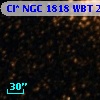 Cl* NGC 1818    WBT    2401