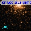 Cl* NGC 1818    WBT    2442