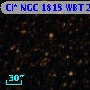 Cl* NGC 1818    WBT    2443