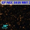 Cl* NGC 1818    WBT    2445