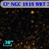 Cl* NGC 1818    WBT    2446