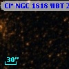 Cl* NGC 1818    WBT    2449